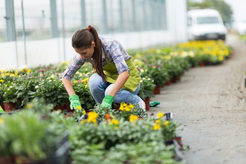 Illustration of gardening tools representing Gardening Services Staines