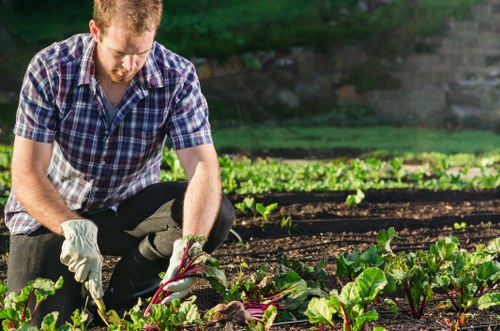 Gardener working in a Staines garden