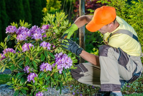 Professional tree lopping in Staines