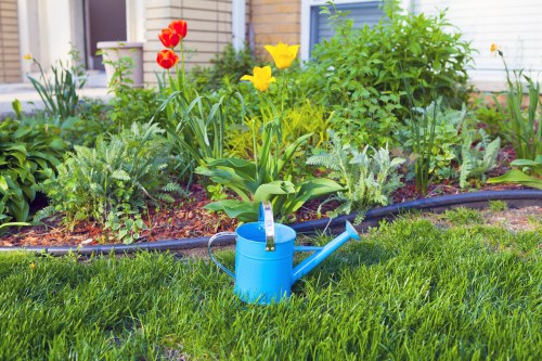 A well-maintained front garden featuring a lush, green lawn with dense, evenly cut grass in the foreground. The garden bed border, made from dark edging material, separates the lawn from a variety of flowering plants and shrubs. Bright yellow tulips and red poppies add vibrant colour among the greenery, with some foliage showing hints of silver and purple. Behind the flower bed, there is a dense hedge providing privacy and structure to the garden. A blue watering can is placed on the lawn, indicating ongoing garden maintenance. The background includes the exterior of a house with light-colored siding and a window, suggesting a suburban setting in Staines. The overall scene appears to be on a clear, sunny day, with natural lighting enhancing the fresh and lively appearance of the outdoor space, which could benefit from professional gardening services to keep it tidy and flourishing during the growing season.