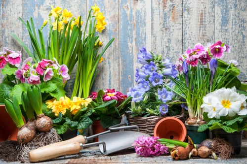 The image displays a variety of flowering plants arranged on a weathered wooden surface, set against a rustic, textured wooden backdrop that adds a natural, outdoor atmosphere. There are several potted plants with vibrant yellow, pink, white, and purple flowers, including daffodils, primroses, and possibly violets, with lush green foliage. The plants are in both terracotta and plastic pots, some directly on the surface, while others are in woven baskets. Gardening tools such as a small hand trowel, a hand rake, and a watering can are scattered among the plants, indicating recent or ongoing gardening activity. In the foreground, there are bulbs and soil, suggesting planting work, and the environment appears bright and well-lit, with natural sunlight highlighting the vivid colours and textures of the flowers and greenery. This scene emphasizes the nurturing of outdoor garden spaces, aligning with gardening service offerings in Staines and surrounding areas, showcasing the potential for vibrant, well-maintained gardens in residential outdoor environments.